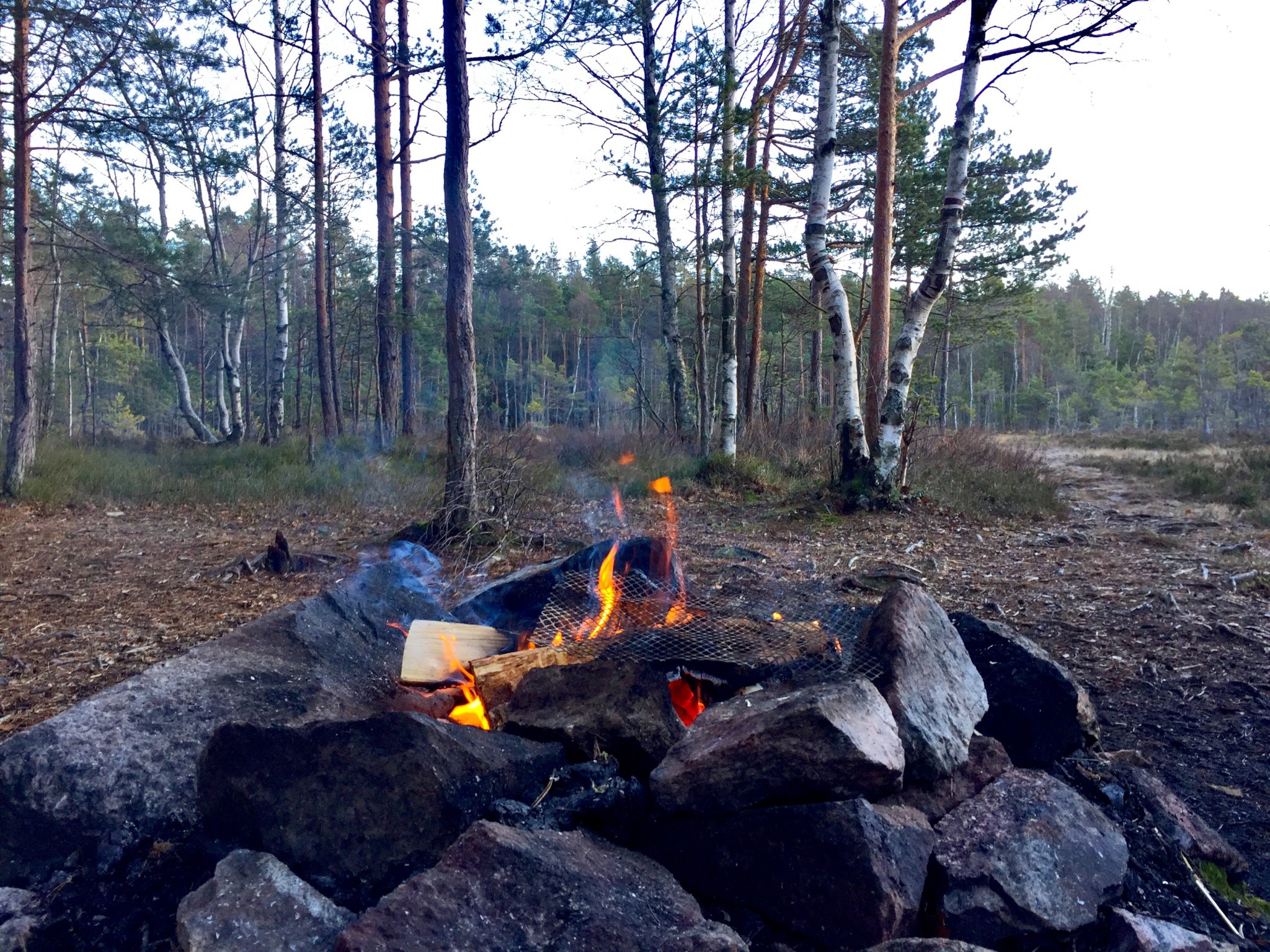 bonfire-skog-nesodden