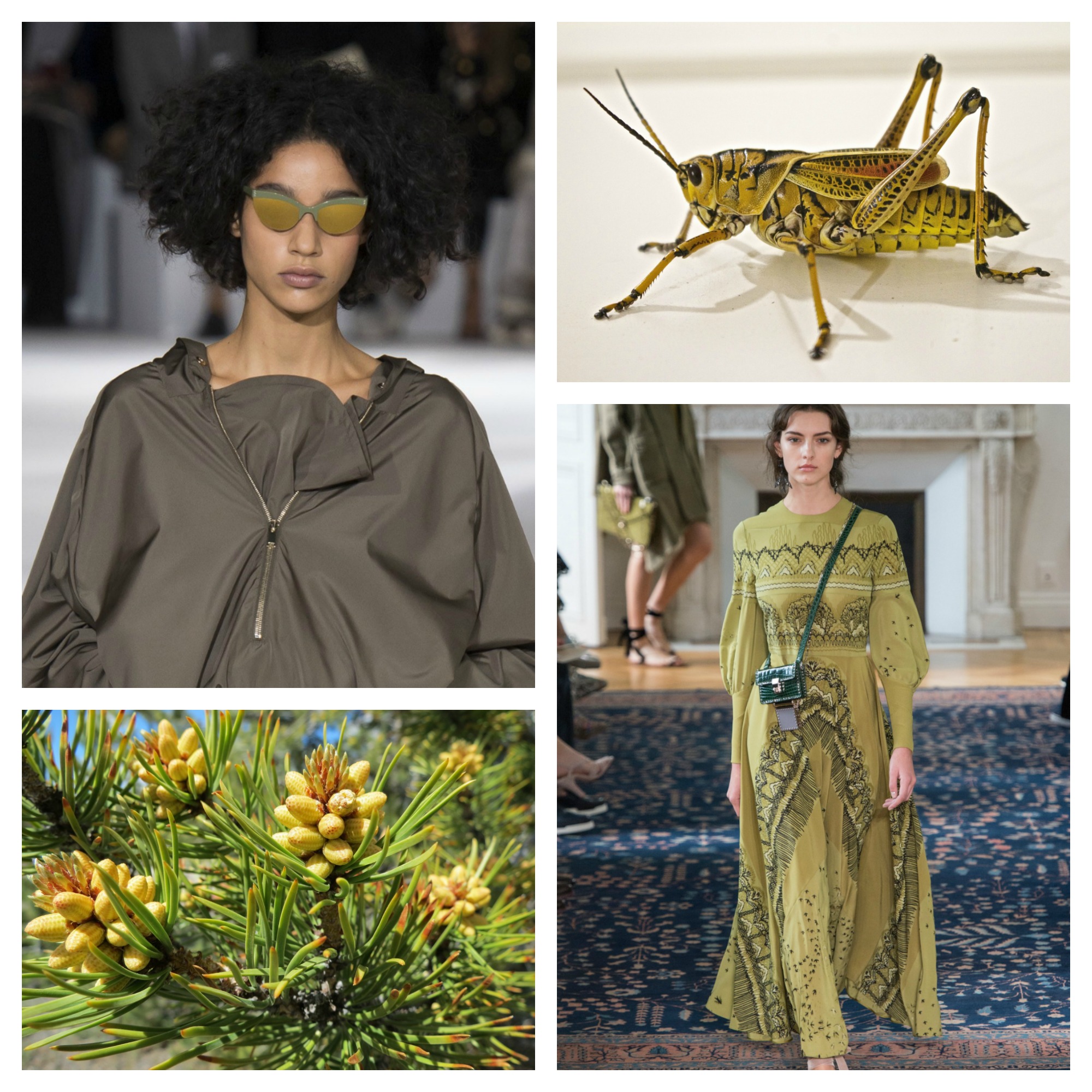 collage-stella-mc-cartney-valentino-bug