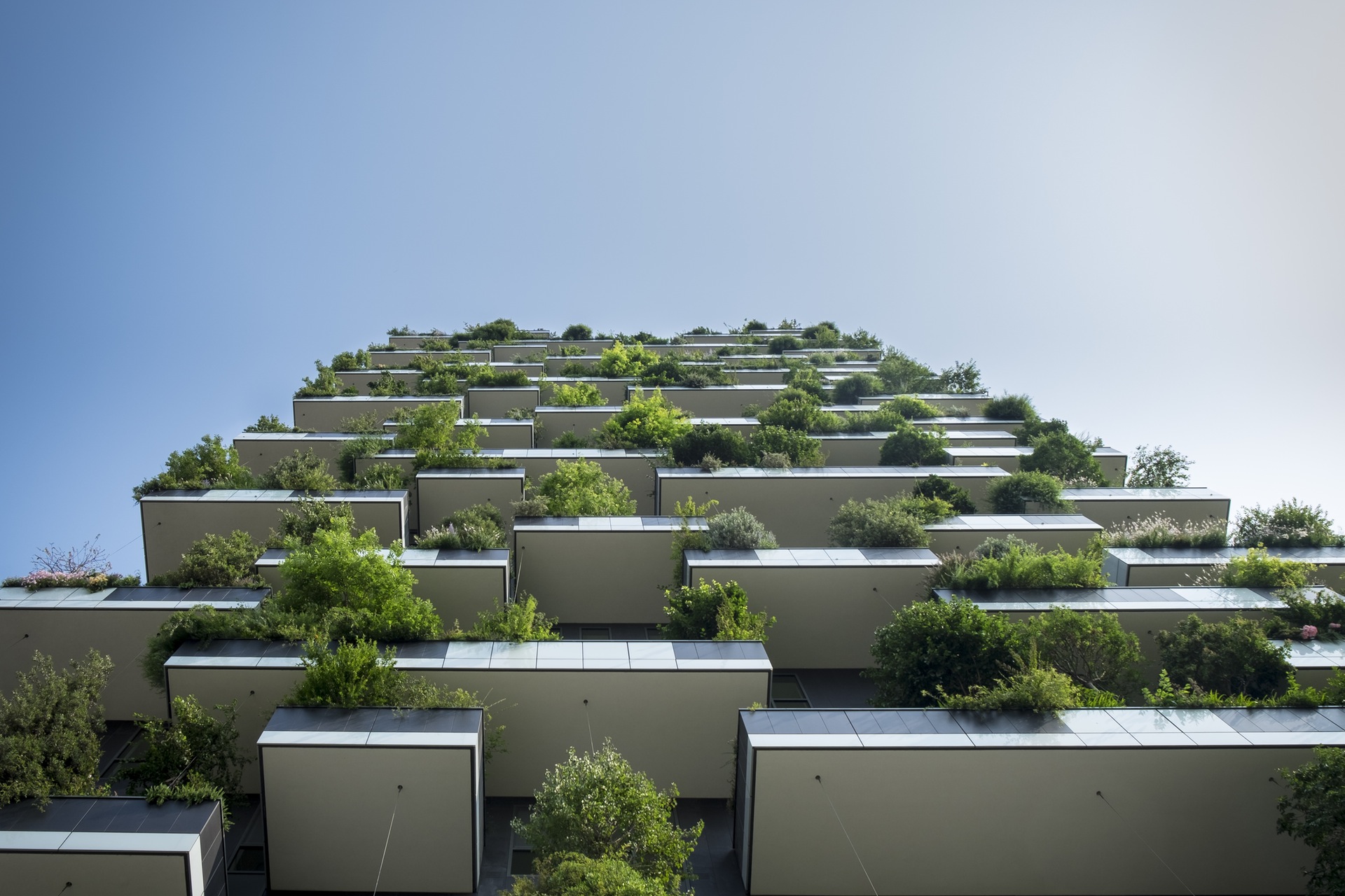 plants-building-greenery