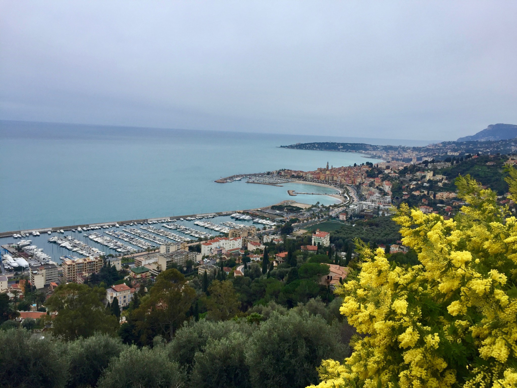 gamlebyen-menton-old-town-mimosa-frankrike