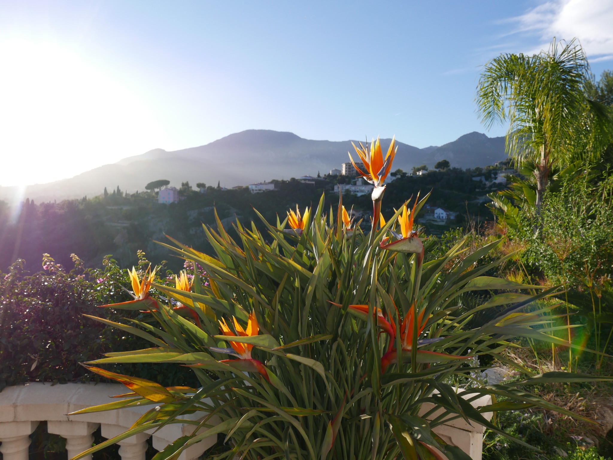 flower-menton-view-utsikt-terrasse