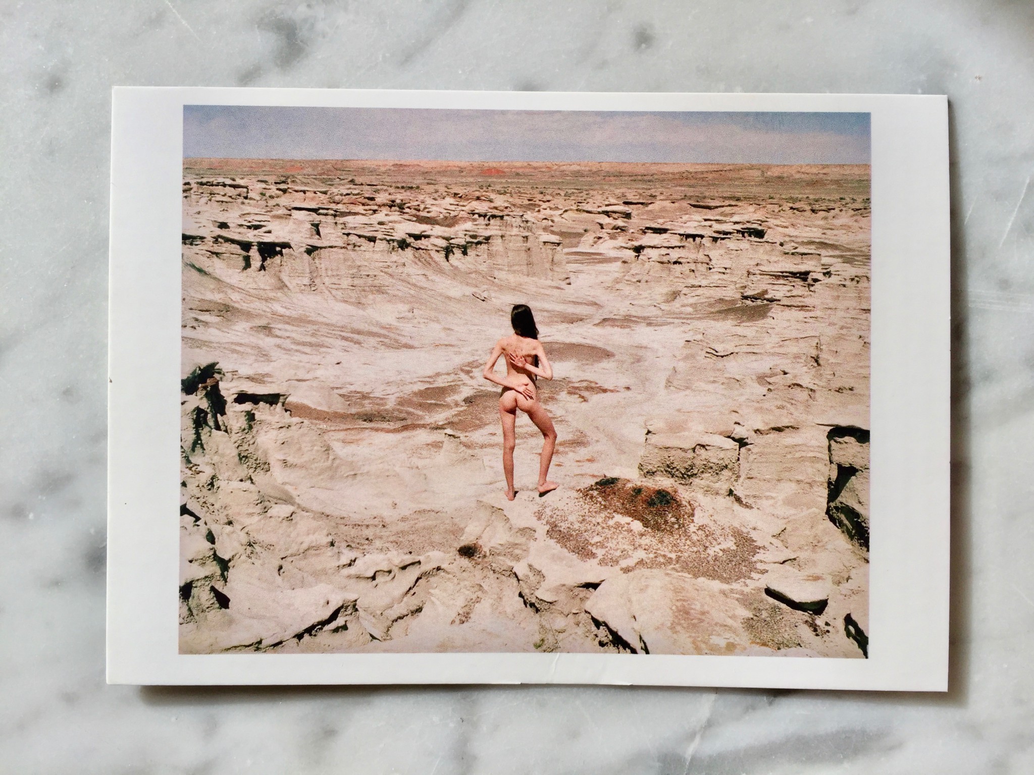 synchrodogs-postcard-marble