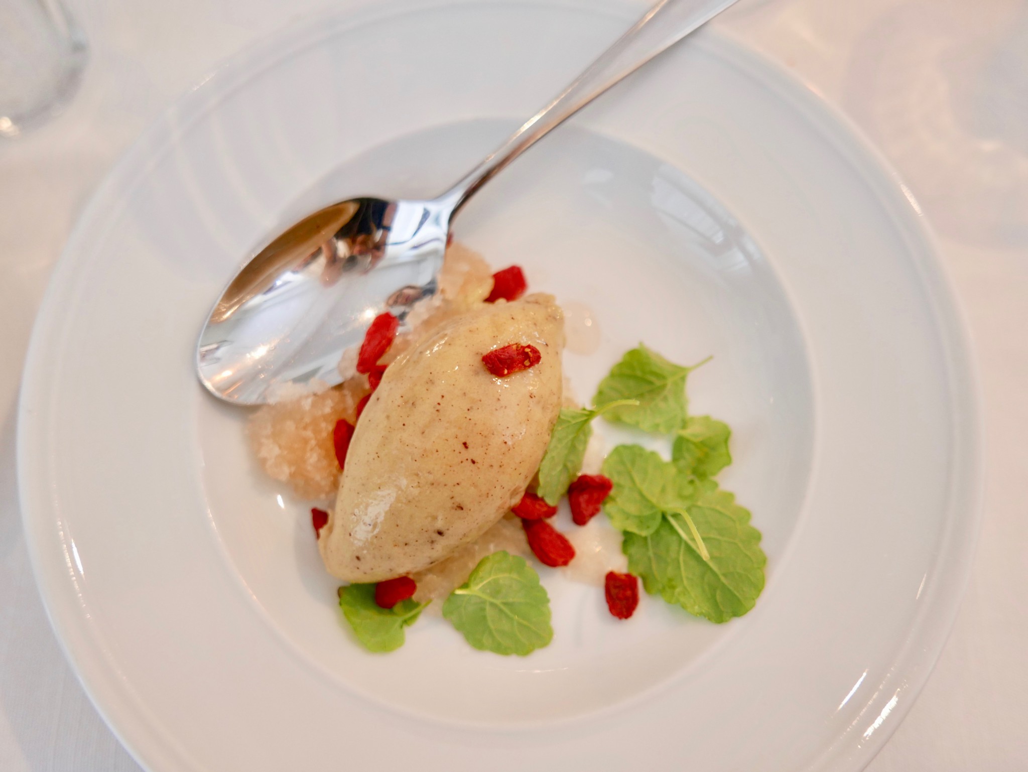 kiwi-sorbet-cafe-nizza-biolage-raw