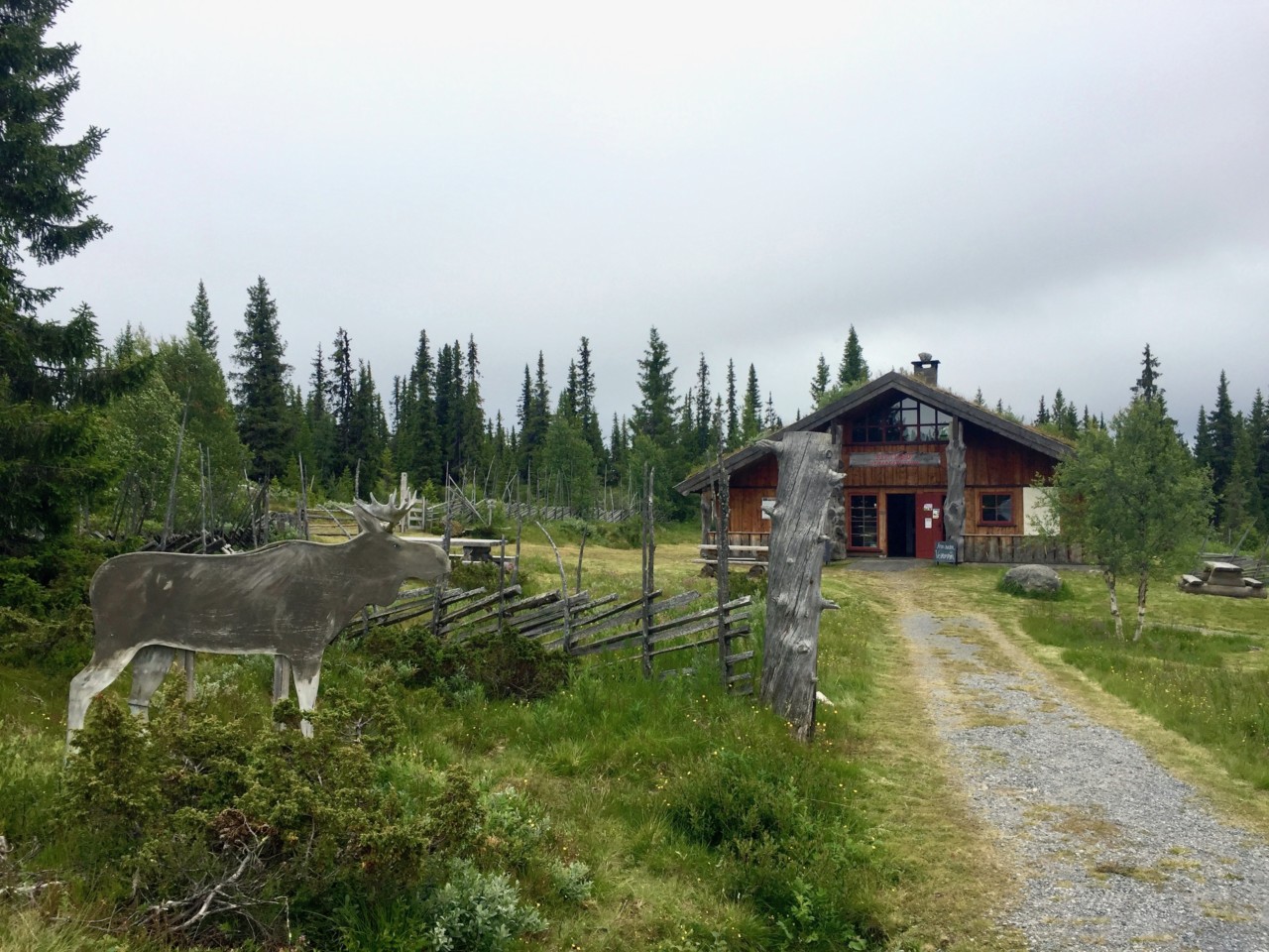 kittilbu-utmarks-museum-elg-elk-gausdal-langsua-nasjonalpark-green-house