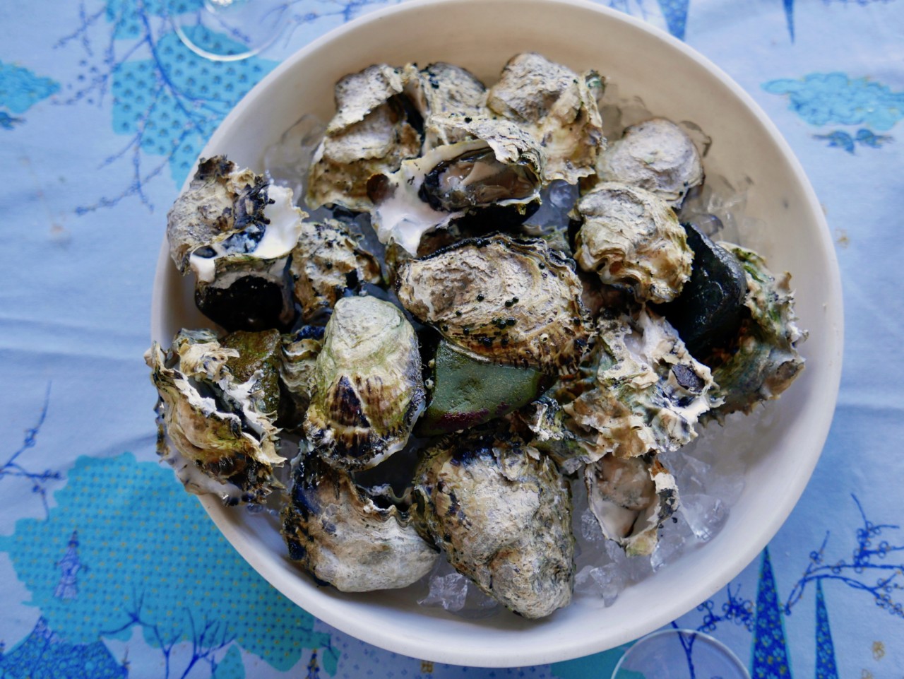 osters-oysters-havets-frukter-wiinblad-nesodden-green-house-anja-stang