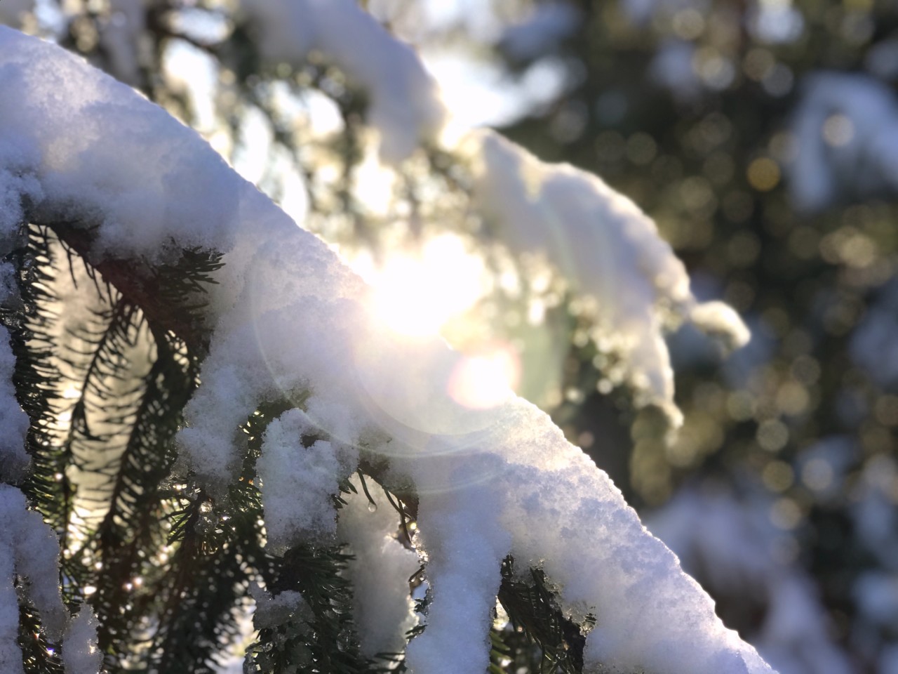 nesodden-vinter-sno-sol-anja-stang