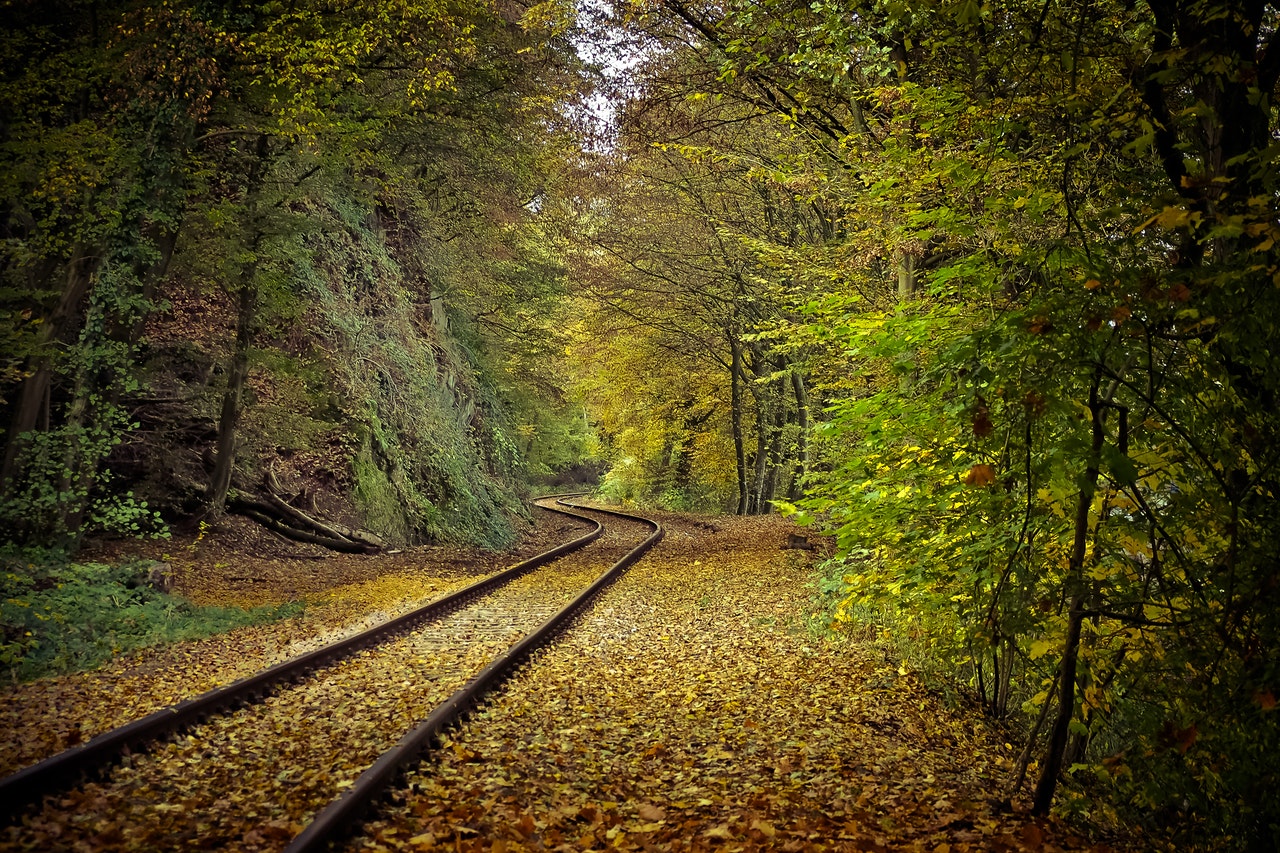 pexels-railway-trees-leaves-green-house-by-anja-stang