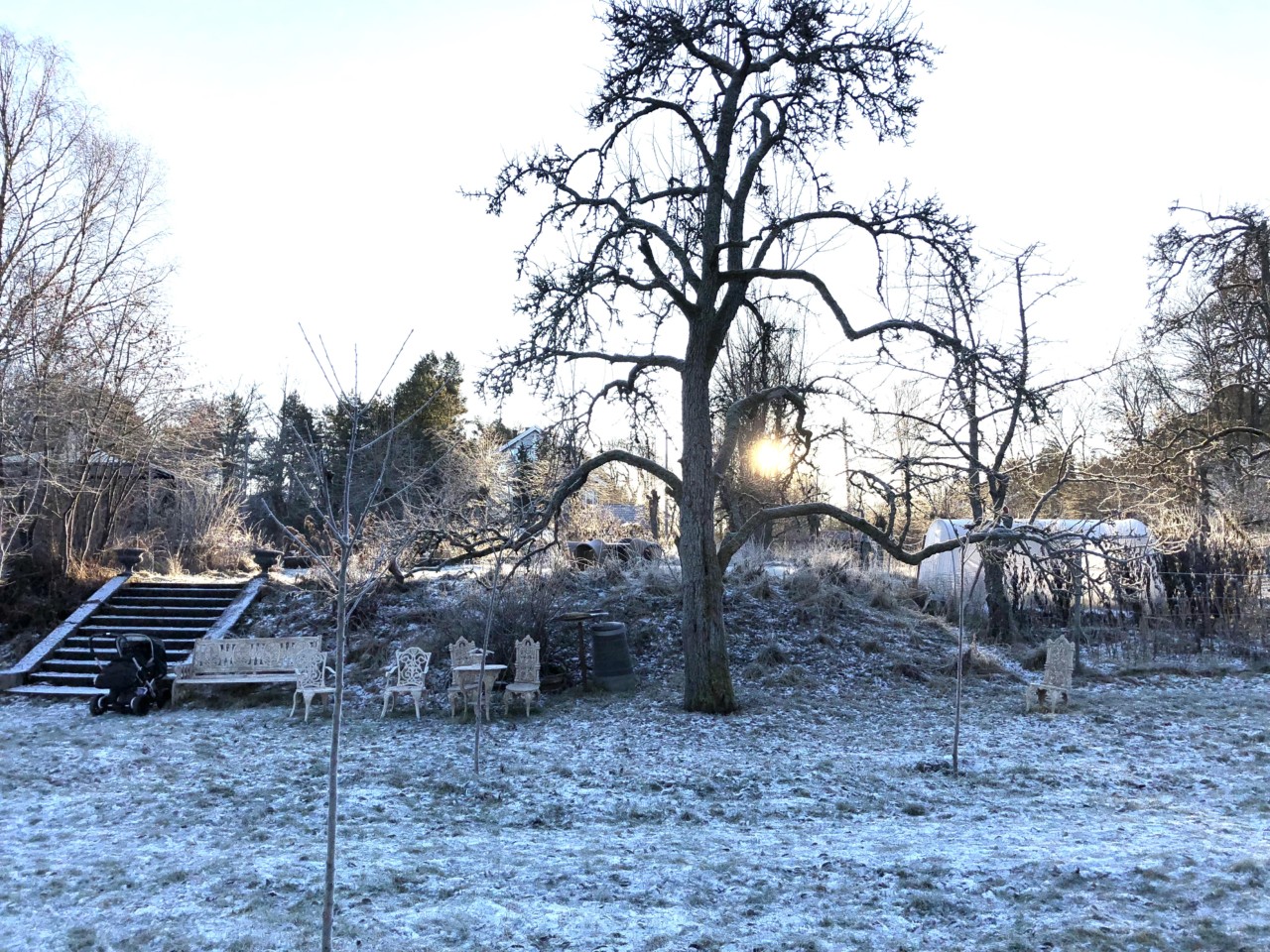 lindehagen-vinter-nesodden-green-house